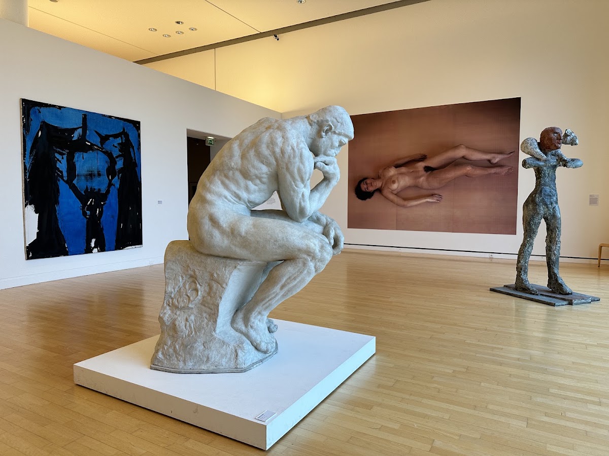Le Musée d'art moderne et contemporain, photo 5