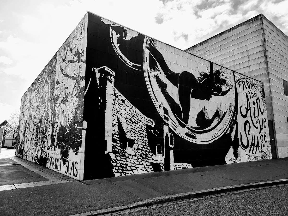 Le Musée d'art moderne et contemporain, photo 6