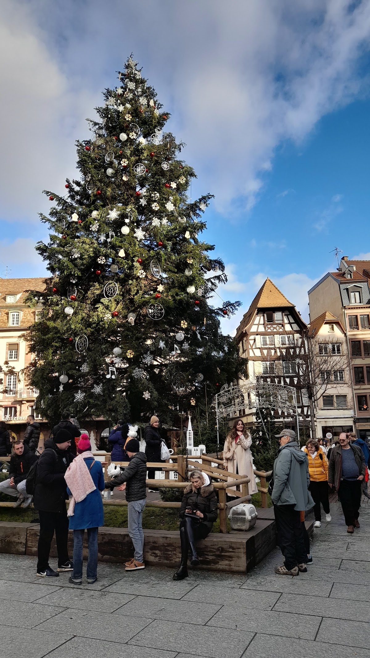 La place Kléber, photo 4