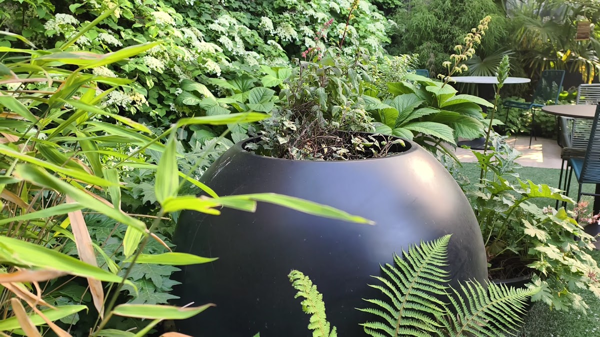voco The Garden, photo 2